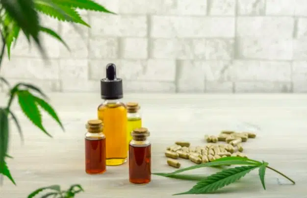 Comment obtient on du cbd ?